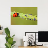 Ladybug frisst Blattläuse Poster (Heimbüro)