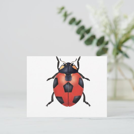 Ladybug Fußball Postkarte (Stehend Vorderseite)