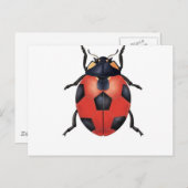 Ladybug Fußball Postkarte (Vorne/Hinten)