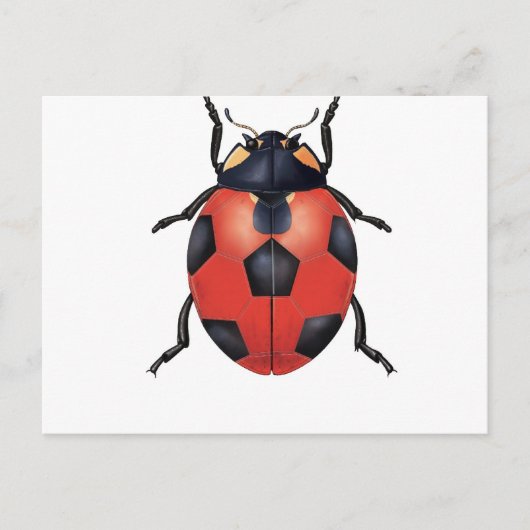 Ladybug Fußball Postkarte (Vorderseite)