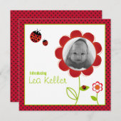 Ladybug Geburtsankündigungskarte Ankündigung (Vorne/Hinten)
