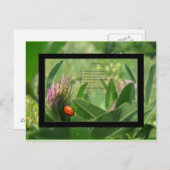 Ladybug Gedicht Postcard Postkarte (Vorne/Hinten)