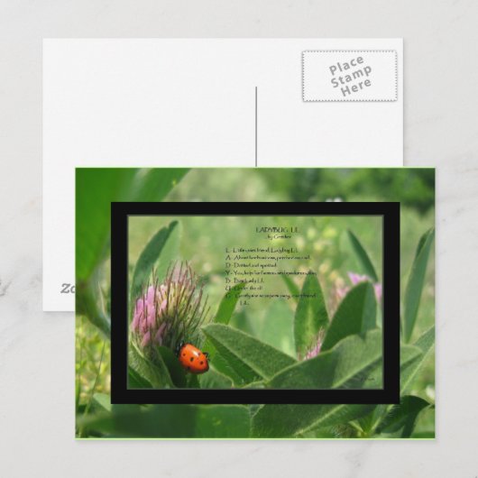 Ladybug Gedicht Postcard Postkarte (Vorne/Hinten)