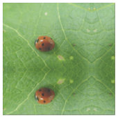 Ladybug Gemusterte Tierwerkstoffe Stoff (Nahaufnahme)