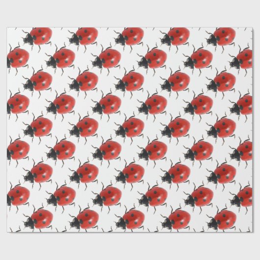 Ladybug Geschenkpapier (Flach)