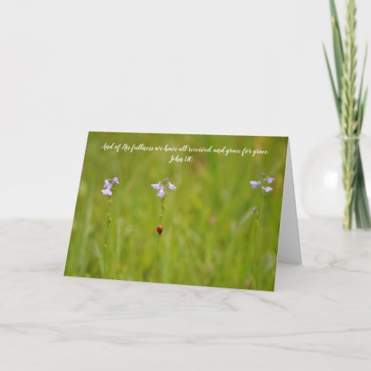 Ladybug Grace Scripture Card John 1:16 Karte (Vorderseite)