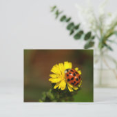 Ladybug Greetings Postkarte (Stehend Vorderseite)