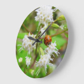 Ladybug Große Wanduhr (Winkel)