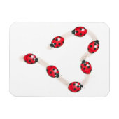 Ladybug Heart Flexi Magnet (Horizontal)