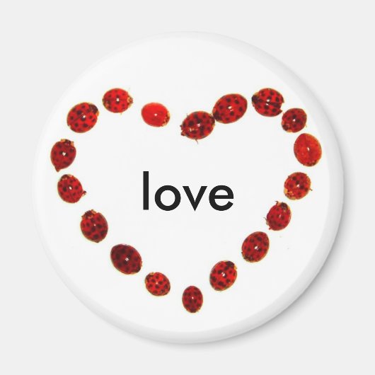 Ladybug Heart Liebe Magnet (Vorne)