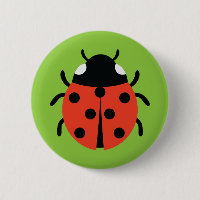 Ladybug Illustration