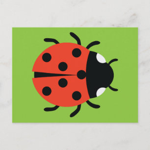 Ladybug Illustration Postkarte