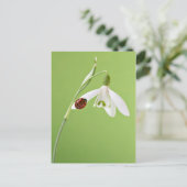 Ladybug im Schneefall Postkarte (Stehend Vorderseite)