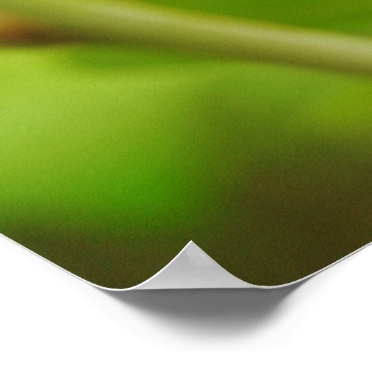 Ladybug in Blätter Bibelverse Art Poster (Ecke)