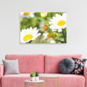 Ladybug in einem Daisy-Garten Leinwanddruck (Insitu (Wohnzimmer))