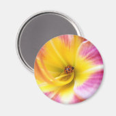 Ladybug in Lilly Magnet (Vorderseite/Rückseite)