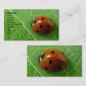 Ladybug Individuell anpassbare Visitenkarte (Vorne/Hinten)