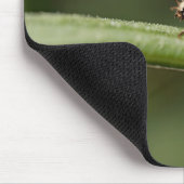 Ladybug Insect Mousepad (Ecke)