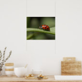 Ladybug Insect Poster (Küche)