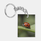 Ladybug Insect Schlüsselanhänger (Vorderseite links)