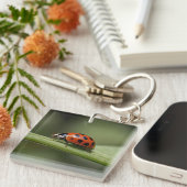 Ladybug Insect Schlüsselanhänger (Vorderseite rechts)