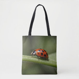Ladybug Insect Tasche