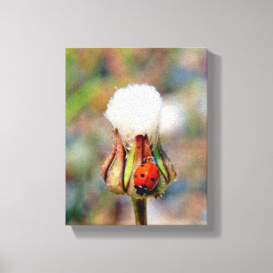 Ladybug Insektenfrühlingsgrün niedliche Umgebung C Leinwanddruck
