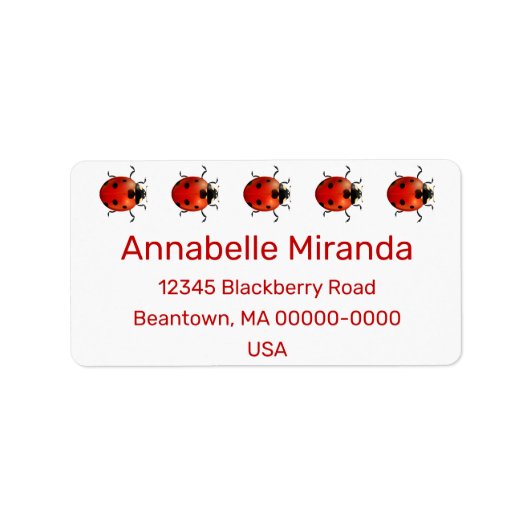 Ladybug Käfer personalisieren Adressaufkleber (Vorne)