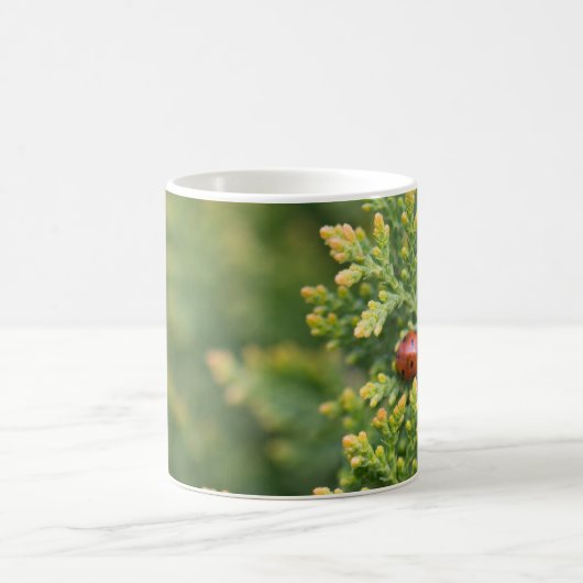 Ladybug Kaffeetasse (Mittel)