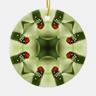 Ladybug Kaleidoskop Naturschutzgebiet Keramik Ornament