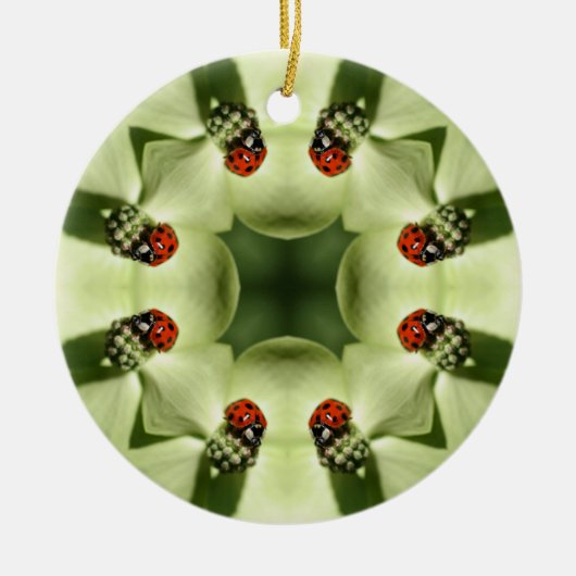 Ladybug Kaleidoskop Naturschutzgebiet Keramik Ornament (Vorne)