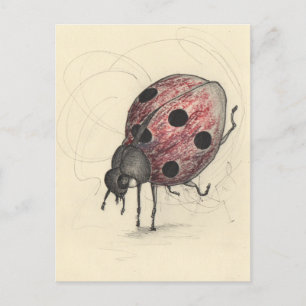 Ladybug kann nicht tanzen feiertagspostkarte