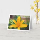 Ladybug Karte (Gelbe Blume)