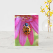 Ladybug-Karte Karte (Gelbe Blume)