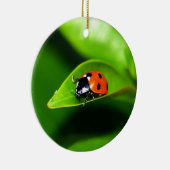 Ladybug Keramik Ornament (Rechts)