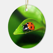 Ladybug Keramik Ornament (Links)