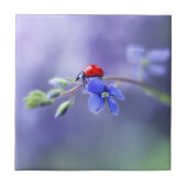 LADYBUG Keramik Tile Fliese (Vorderseite)