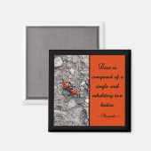 Ladybug Kisses Magnet (Vorderseite/Rückseite)
