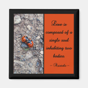 Ladybug Kisses Magnet