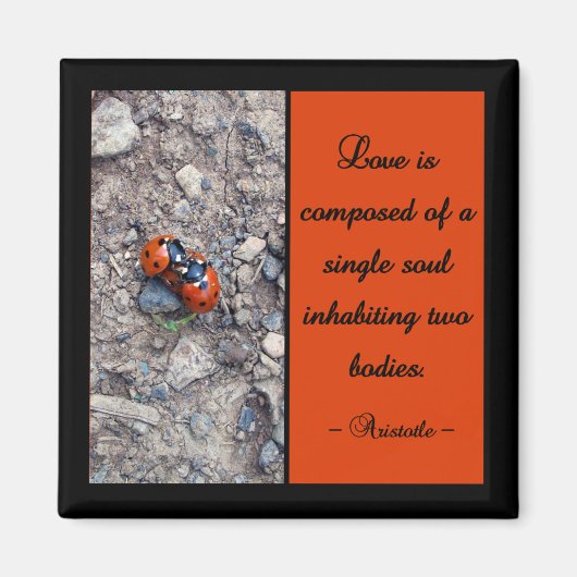 Ladybug Kisses Magnet (Vorne)