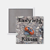 Ladybug Kisses Magnet (Vorderseite/Rückseite)