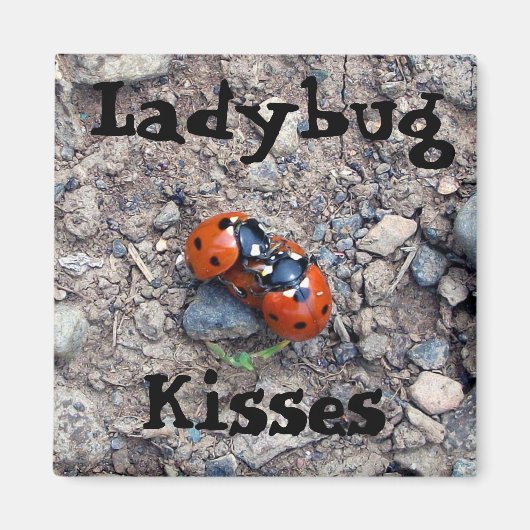 Ladybug Kisses Magnet (Vorne)