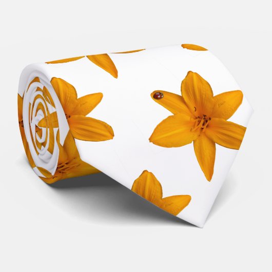 Ladybug Krawatte (Gerollt)