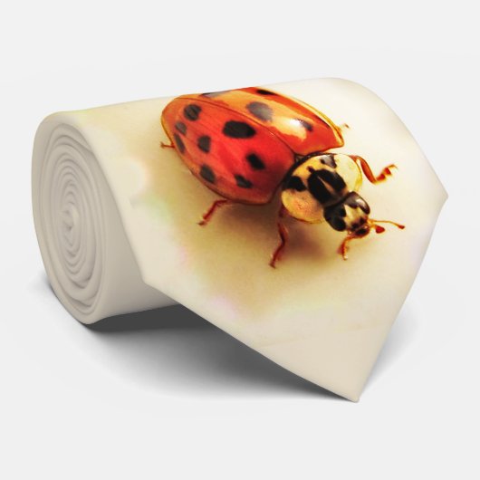 Ladybug-Krawatte Krawatte (Gerollt)