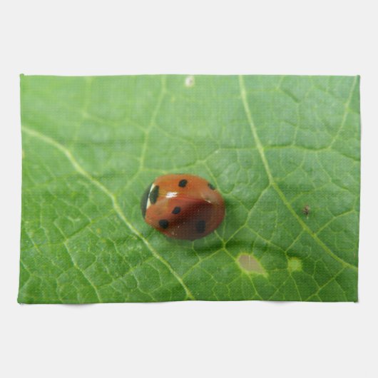 Ladybug Küchentuch (Horizontal)