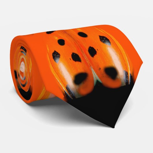 Ladybug Lady Bird Spotty Novelty Party Neck Tie Krawatte (Gerollt)