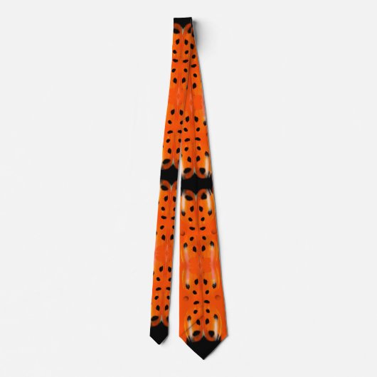 Ladybug Lady Bird Spotty Novelty Party Neck Tie Krawatte (Rückseite)