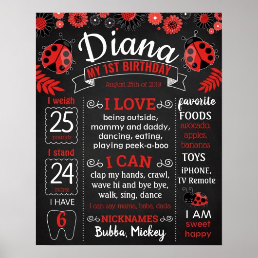 Ladybug Lady Bug Birthday Party chalkboard Poster (Vorne)