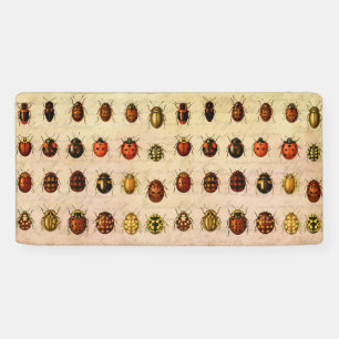 Ladybug Ladybird Beetle Insect Bug Banner