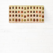 Ladybug Ladybird Beetle Insect Bug Banner (InSitu)